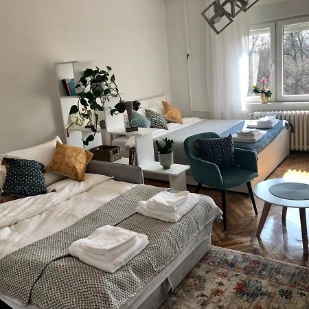 Apartament Casa Lusi Nowy Sad Zewnętrze zdjęcie